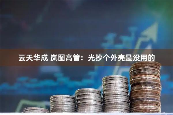云天华成 岚图高管：光抄个外壳是没用的
