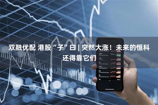双融优配 港股“子”曰 | 突然大涨！未来的恒科还得靠它们
