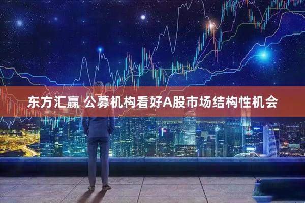 东方汇赢 公募机构看好A股市场结构性机会