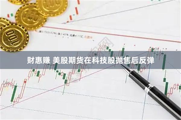 财惠赚 美股期货在科技股抛售后反弹